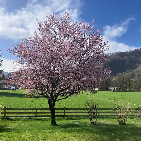 Open Garden Mountain Lodge 奥博奥多夫 外观 照片