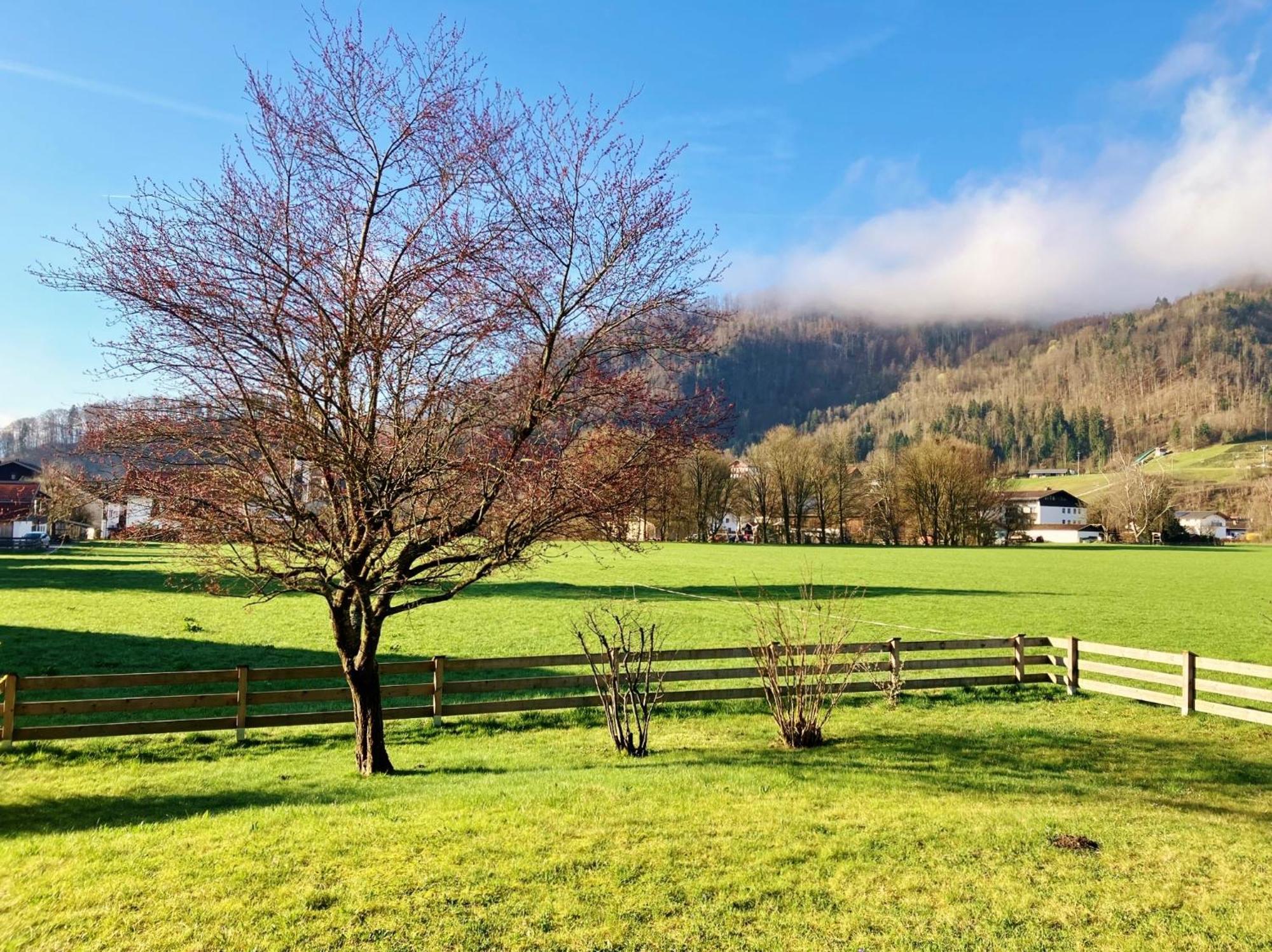 Open Garden Mountain Lodge 奥博奥多夫 外观 照片