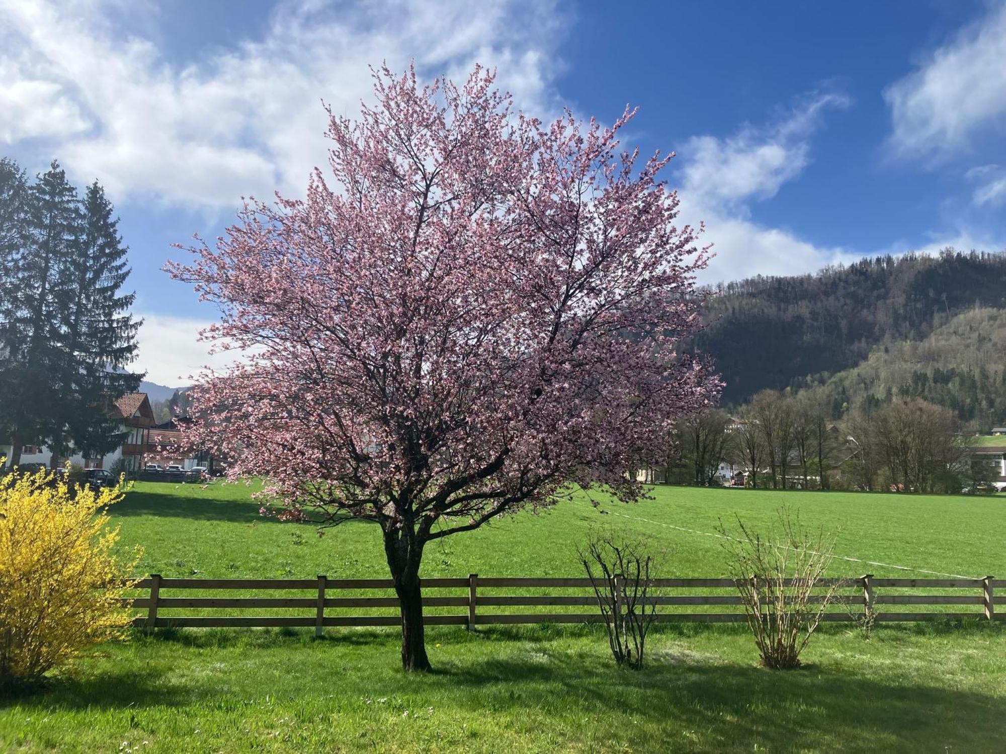 Open Garden Mountain Lodge 奥博奥多夫 外观 照片